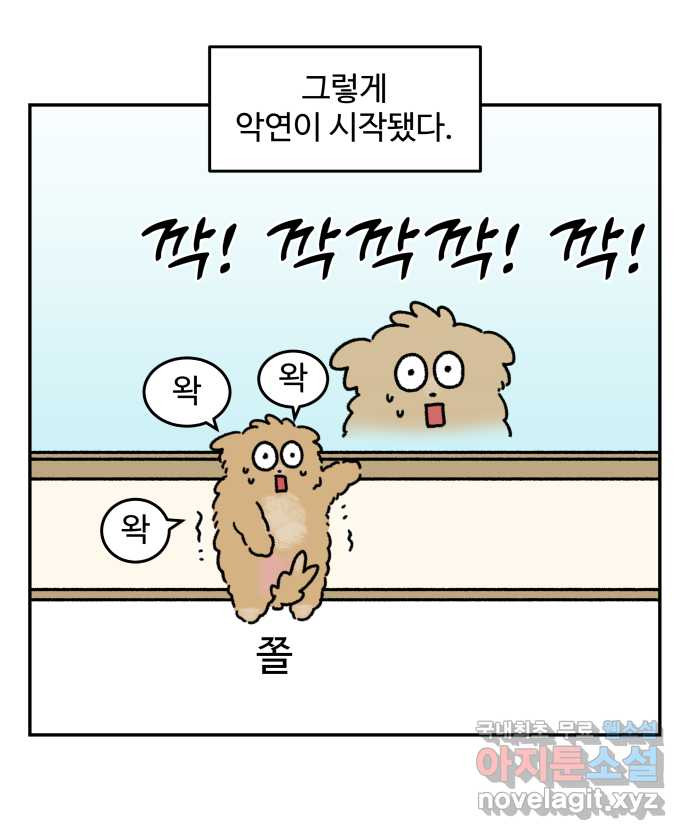 강아지는 멍멍하고 짖지 않아! 67화 - 밤빵이의 숙적 13