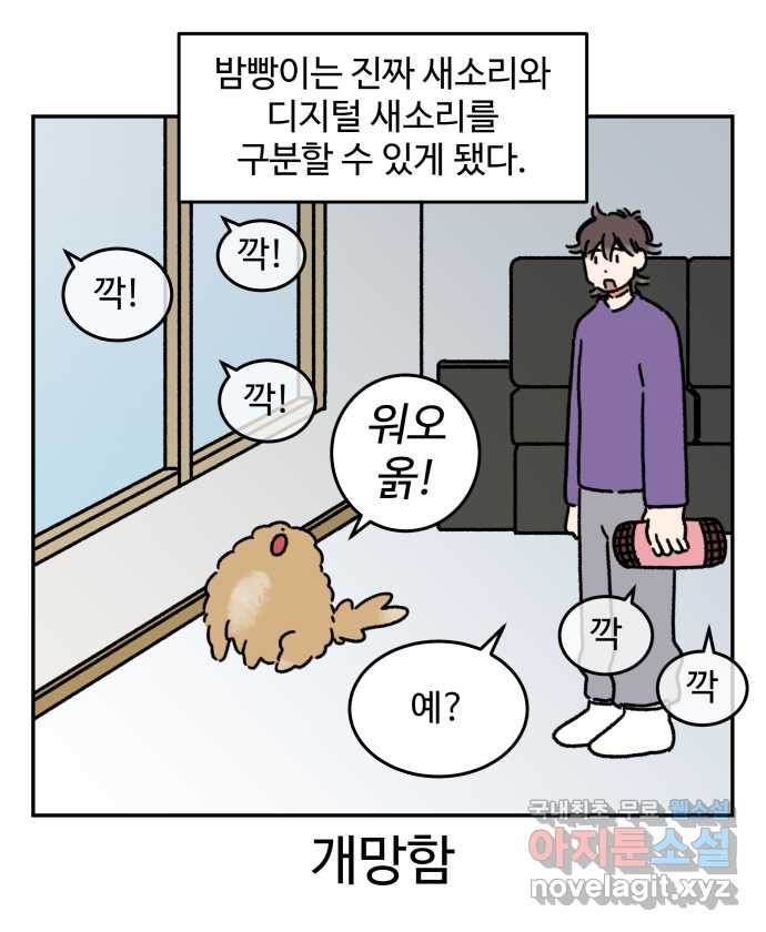 강아지는 멍멍하고 짖지 않아! 67화 - 밤빵이의 숙적 21