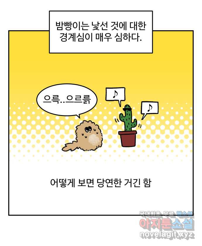 강아지는 멍멍하고 짖지 않아! 69화 - 사회화 시기 2