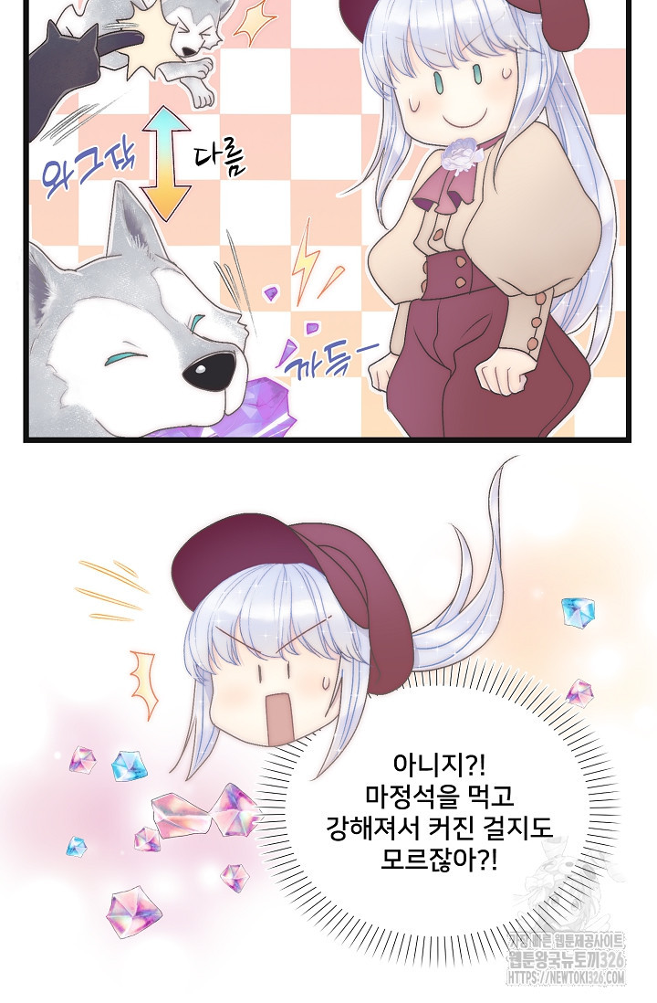 막내가 세계 멸망을 막는 중이래요 14화 20