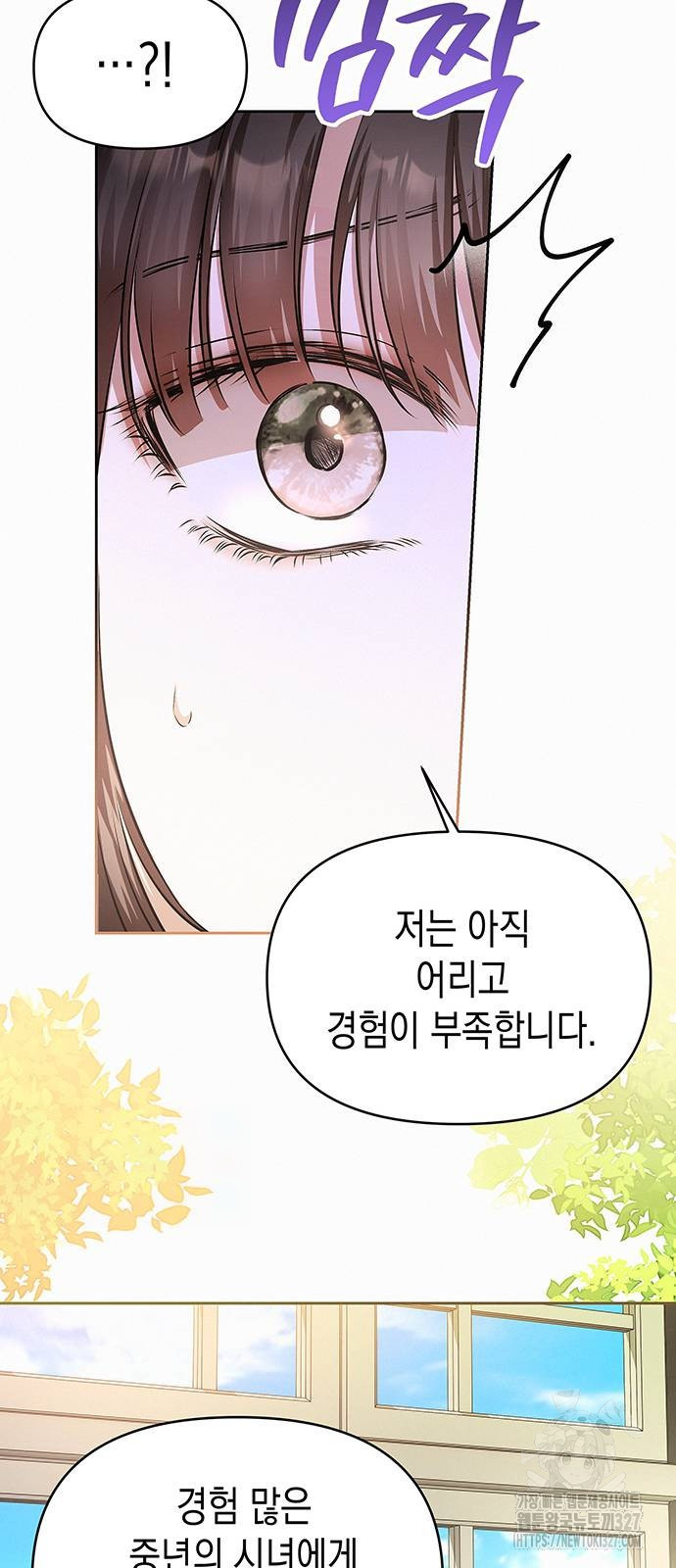 아무래도 결혼을 잘못한 것 같다 28화 24