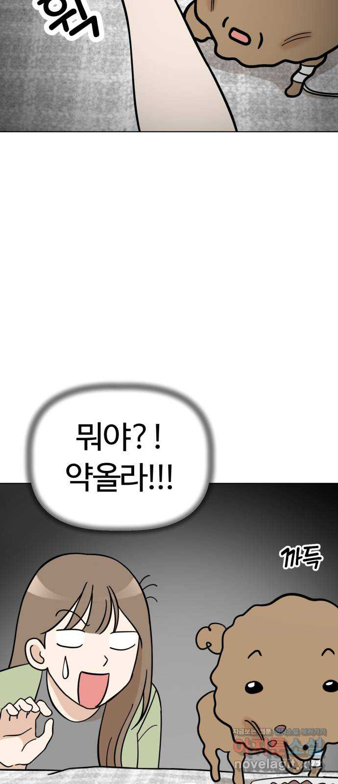 마루는강쥐 84화. 마루와의 첫 만남 (2) 13